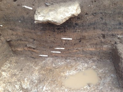 Figure 3. Midden deposits in trench T showing stratified ashy and organic layers.